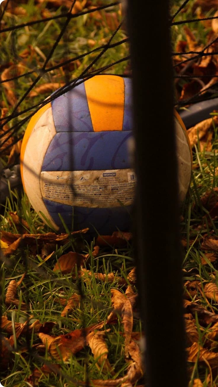 volleyball thumbnail