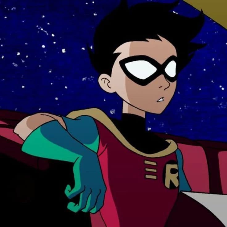 robin thumbnail