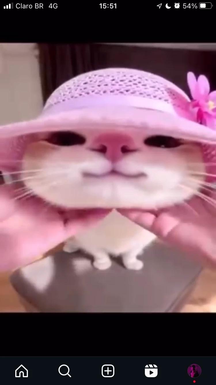 Cat thumbnail