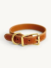 The collar  thumbnail