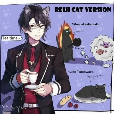 Reiji Steric thumbnail