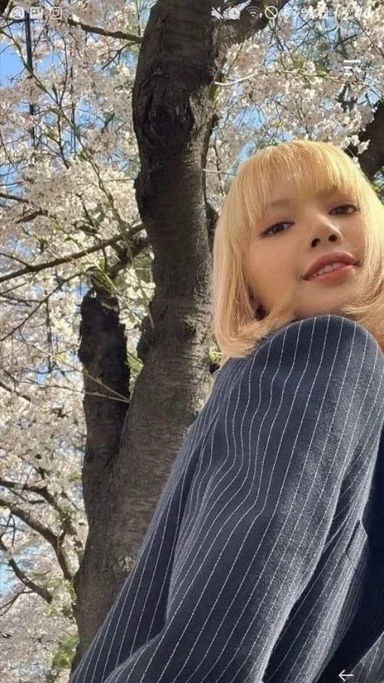 Lalisa thumbnail
