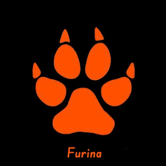 | • | Furina | • | thumbnail