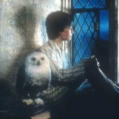 Harry Potter's sister thumbnail