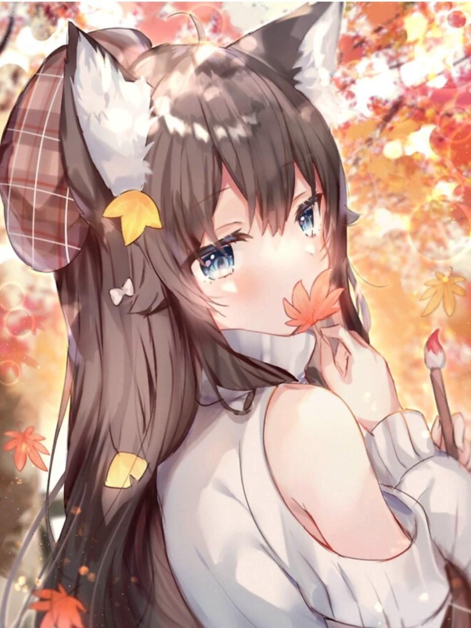Rose  thumbnail