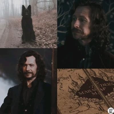 Sirius Black thumbnail