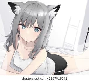 Mia (Humana cat) thumbnail