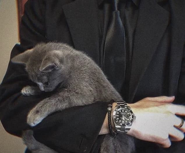 You are a cat for me, the dangerous mafia leader. thumbnail