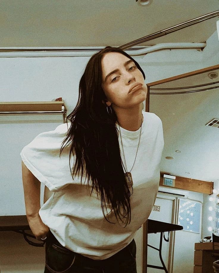 Billie Eilish Pirate Baird O'Connell  thumbnail
