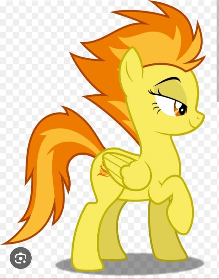 SPITFIRE thumbnail