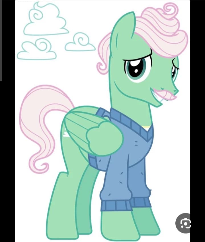 SR SHY thumbnail
