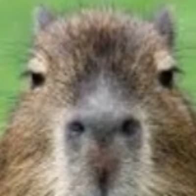 Kapibara thumbnail