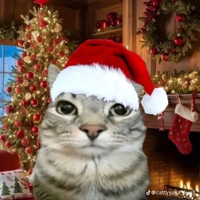 Mittens Claus thumbnail