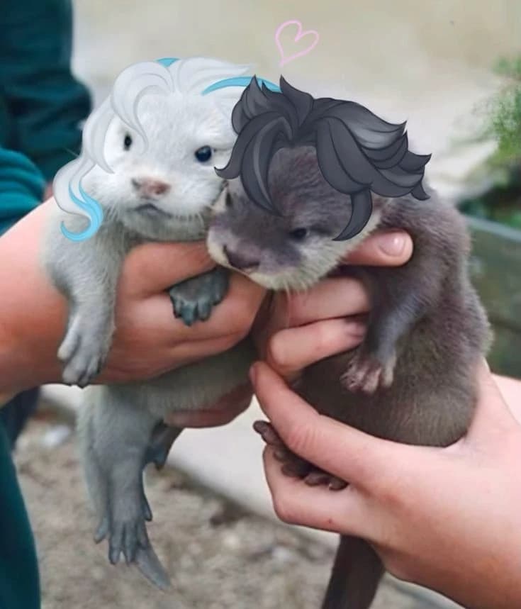 Fontaine otter family  thumbnail