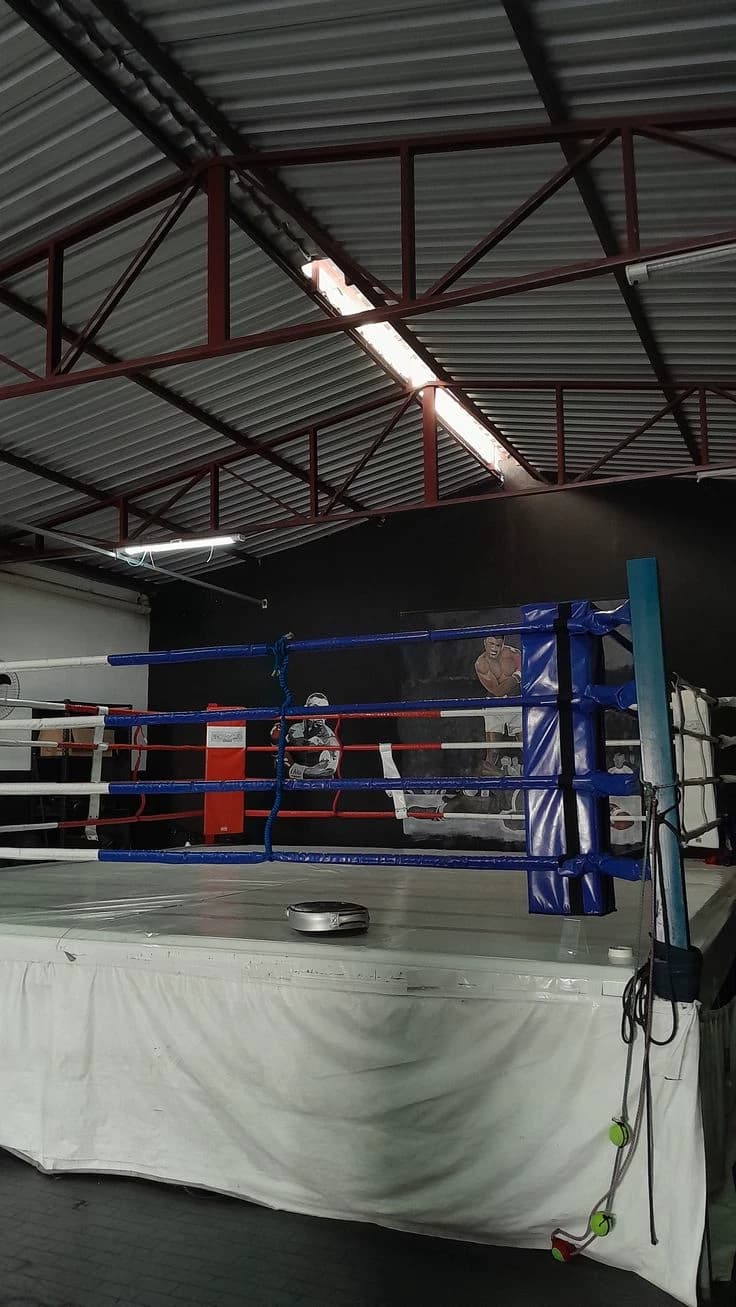 BOXING  thumbnail