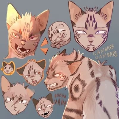 Sukuna Cat thumbnail