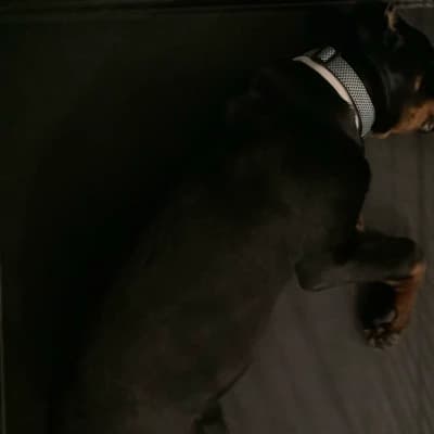 Barnaby thumbnail