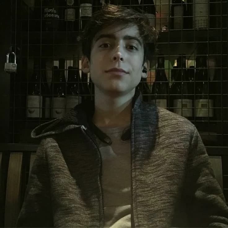 Aidan Gallagher thumbnail