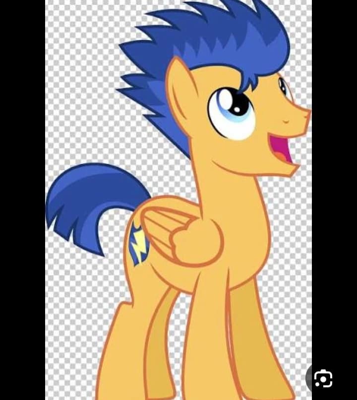 FLASH SENTRY thumbnail