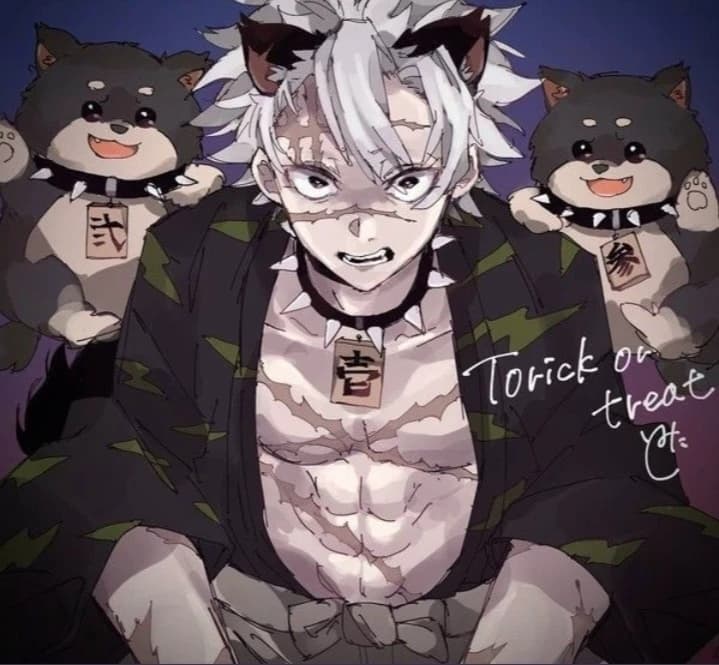 Sanemi Alpha 🐺🐾🍃 thumbnail