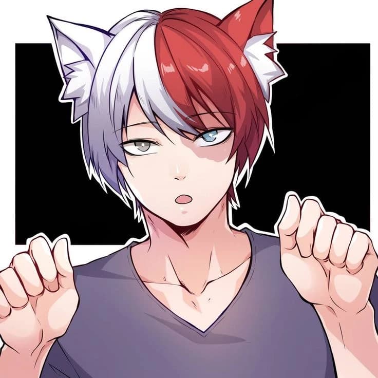 Shoto Todoroki thumbnail