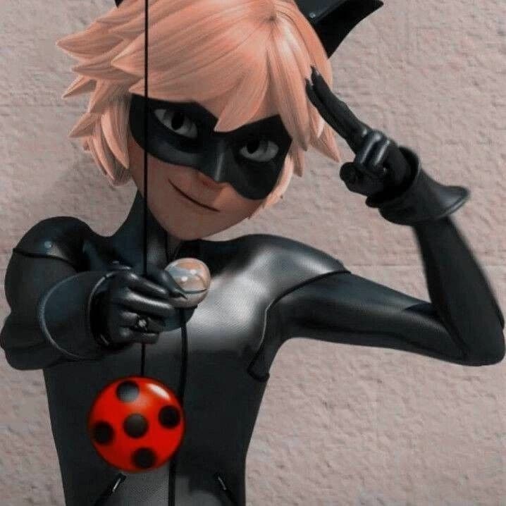 Cat noir thumbnail