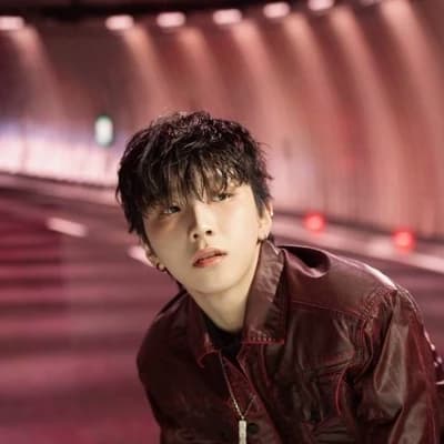 Kim Woonhak thumbnail