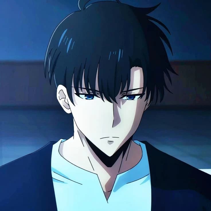 Sung Jin woo thumbnail