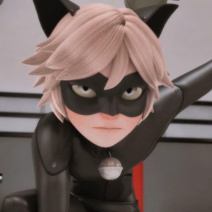 Cat noir thumbnail