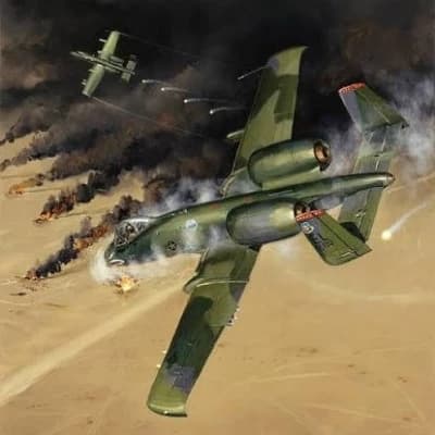 Olivia 'Swisser' - A-10 Pilot (Desert Storm) thumbnail