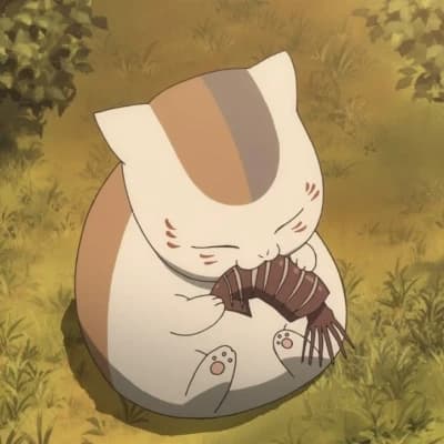 Soba/Your Fat Cat thumbnail