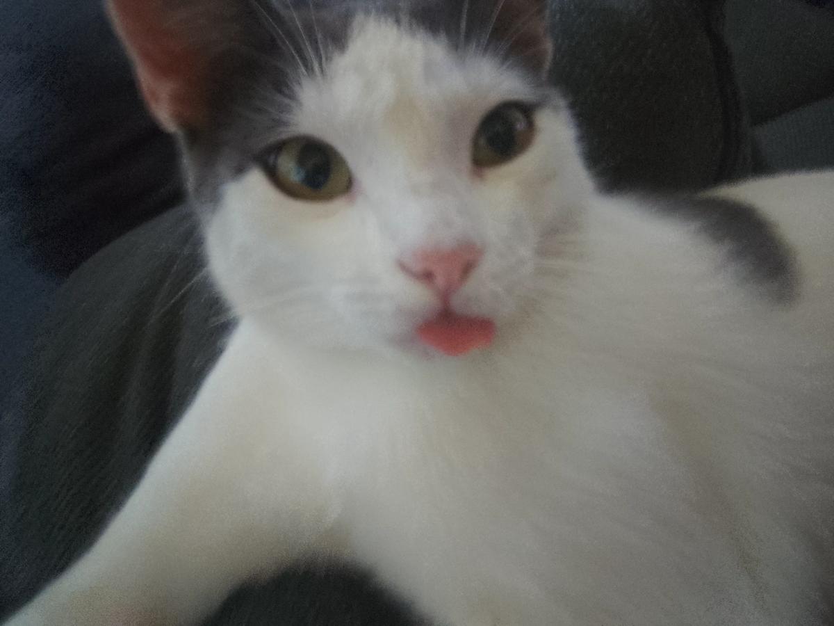 your owner thumbnail