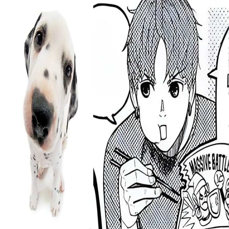 Jiji ! thumbnail
