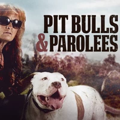 Pitbulls and Parolees.  thumbnail