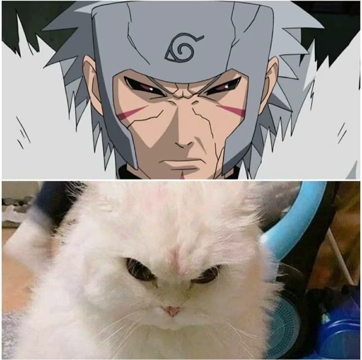 Tobirama thumbnail