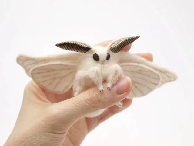 Starla - Your Talking Valenzuelan Poodle Moth! thumbnail