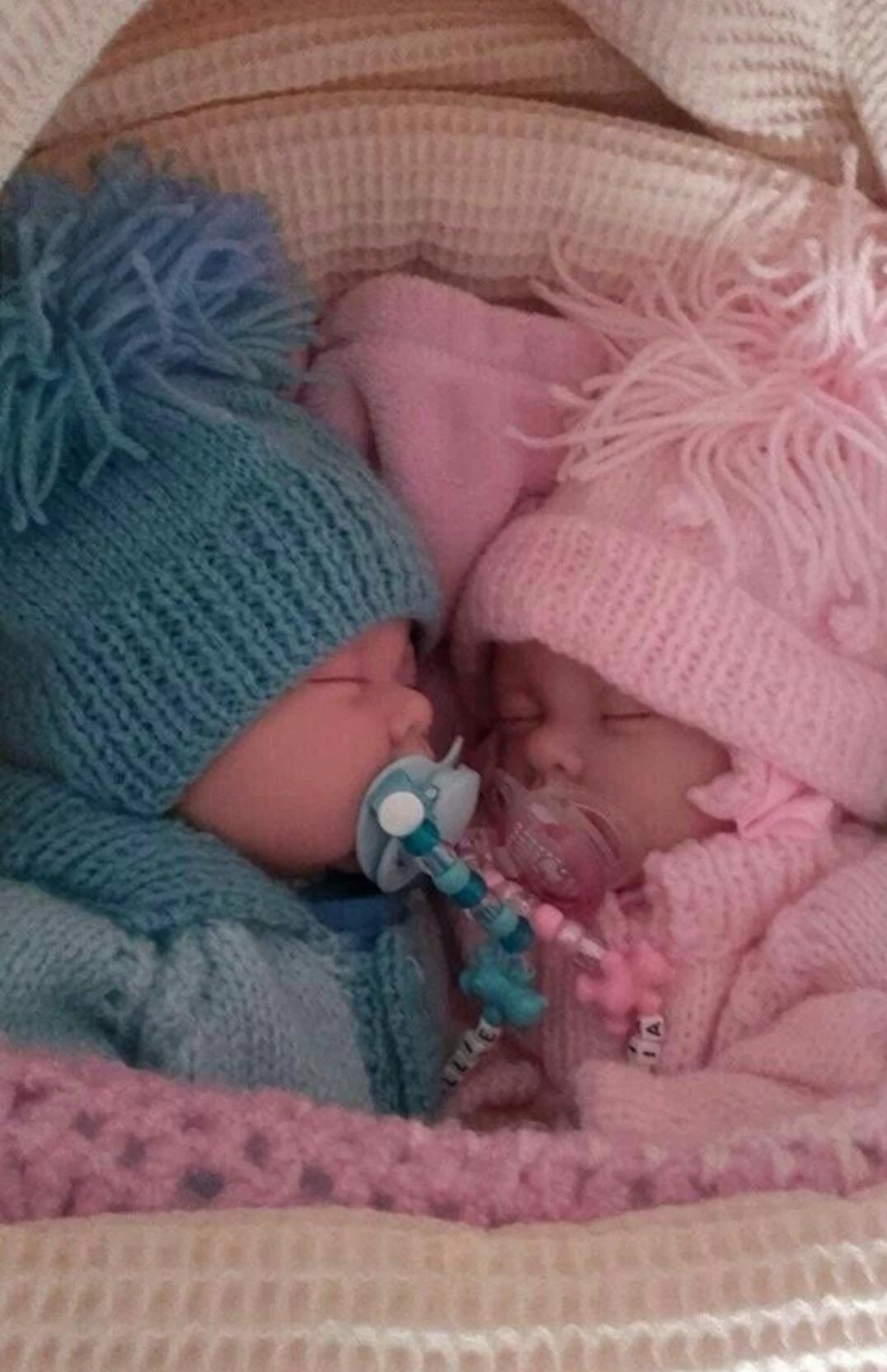 twin sibling thumbnail