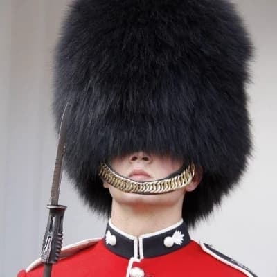 Real Guard thumbnail