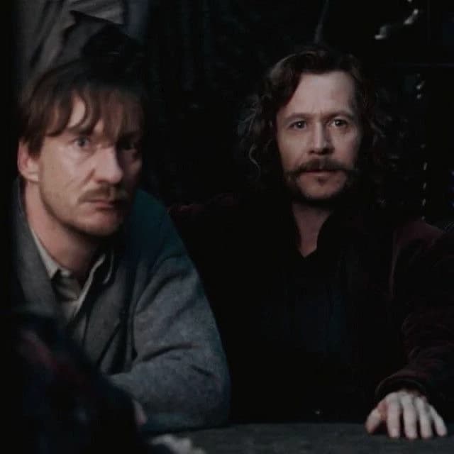 Sirius black y Remus Lupin. thumbnail