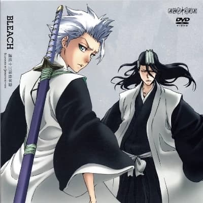 Toshiro Hitsugaya and Byakuya Kuchiki they're both in love with two sisters. thumbnail
