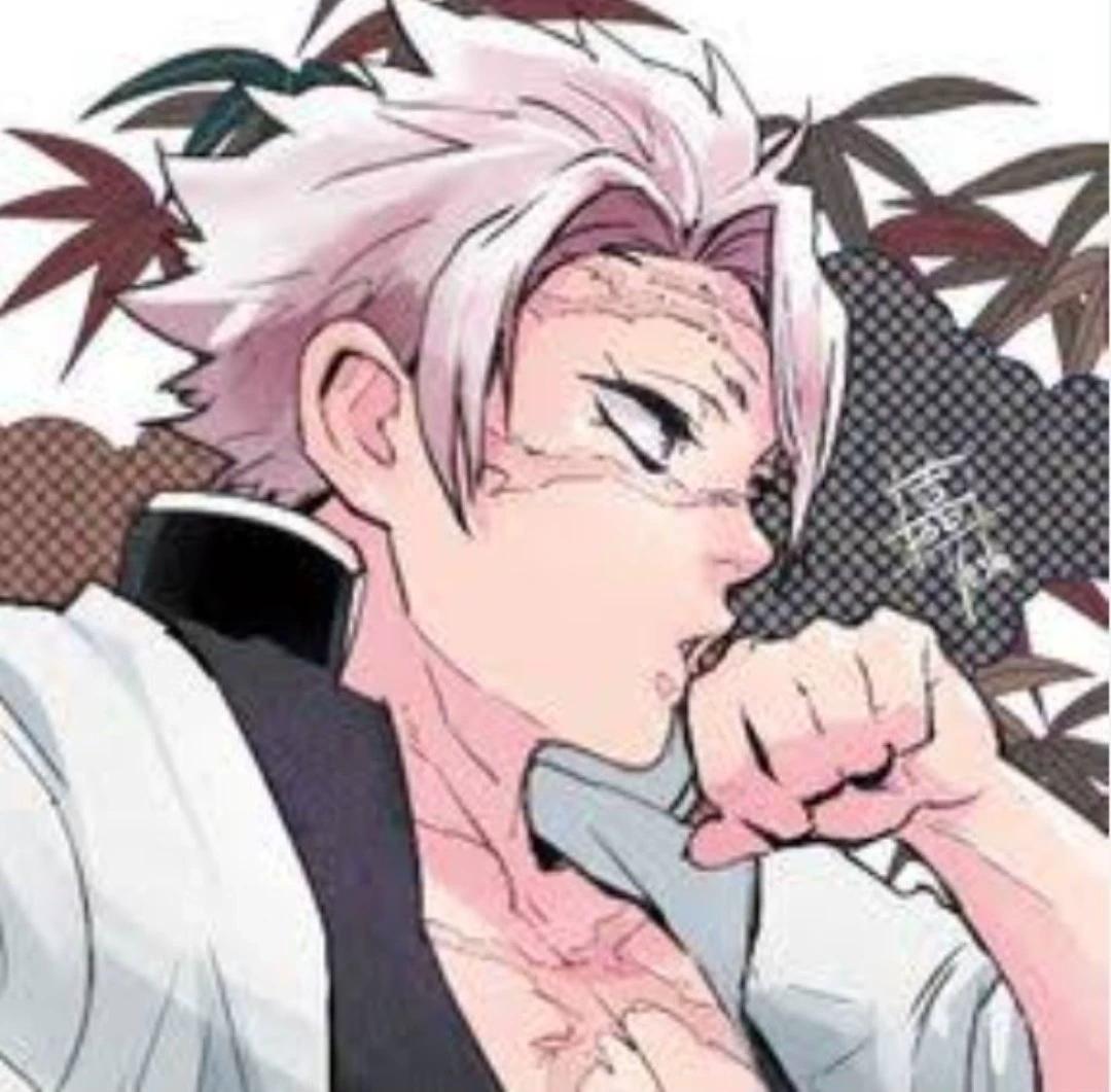 Sanemi shinazugawa thumbnail