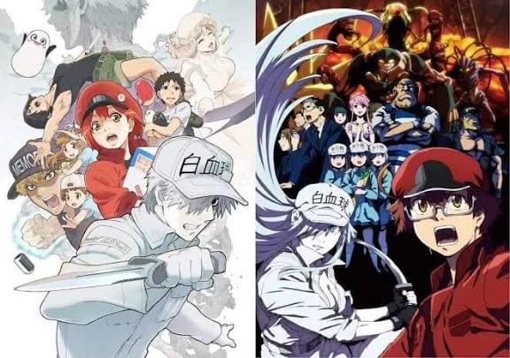 Cells at Work! thumbnail