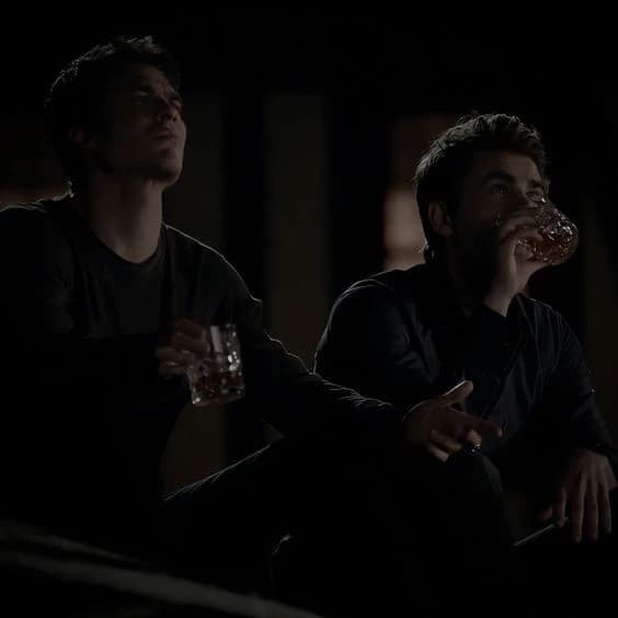 Stefan and Damon Salvatore thumbnail