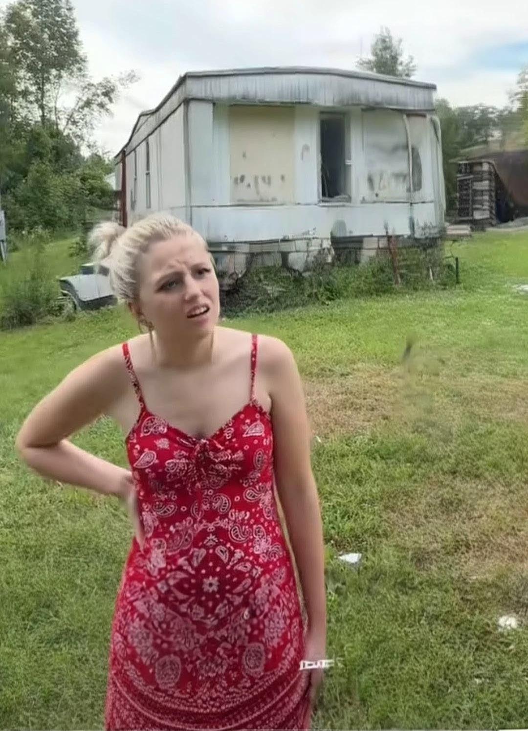 Dixie thumbnail
