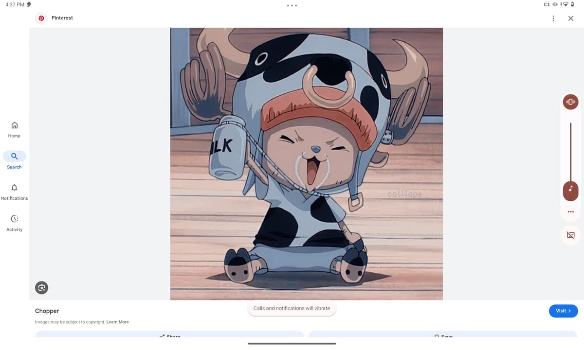 Tony tony chopper thumbnail
