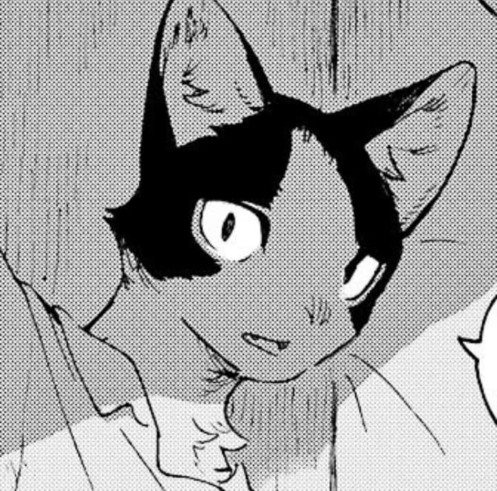 Hachi thumbnail