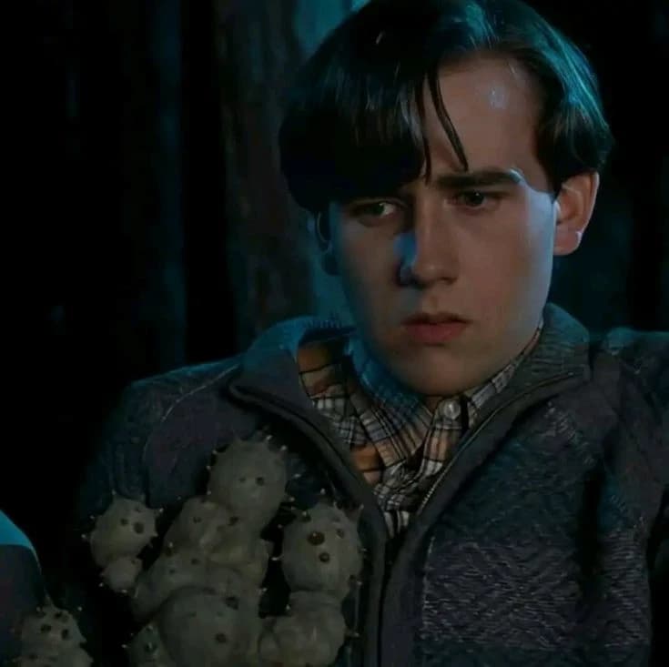 Neville Longbottom thumbnail