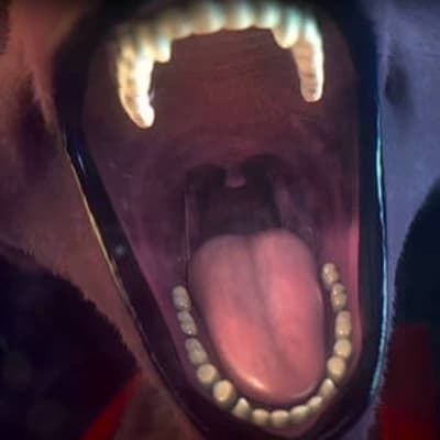 Jackal thumbnail