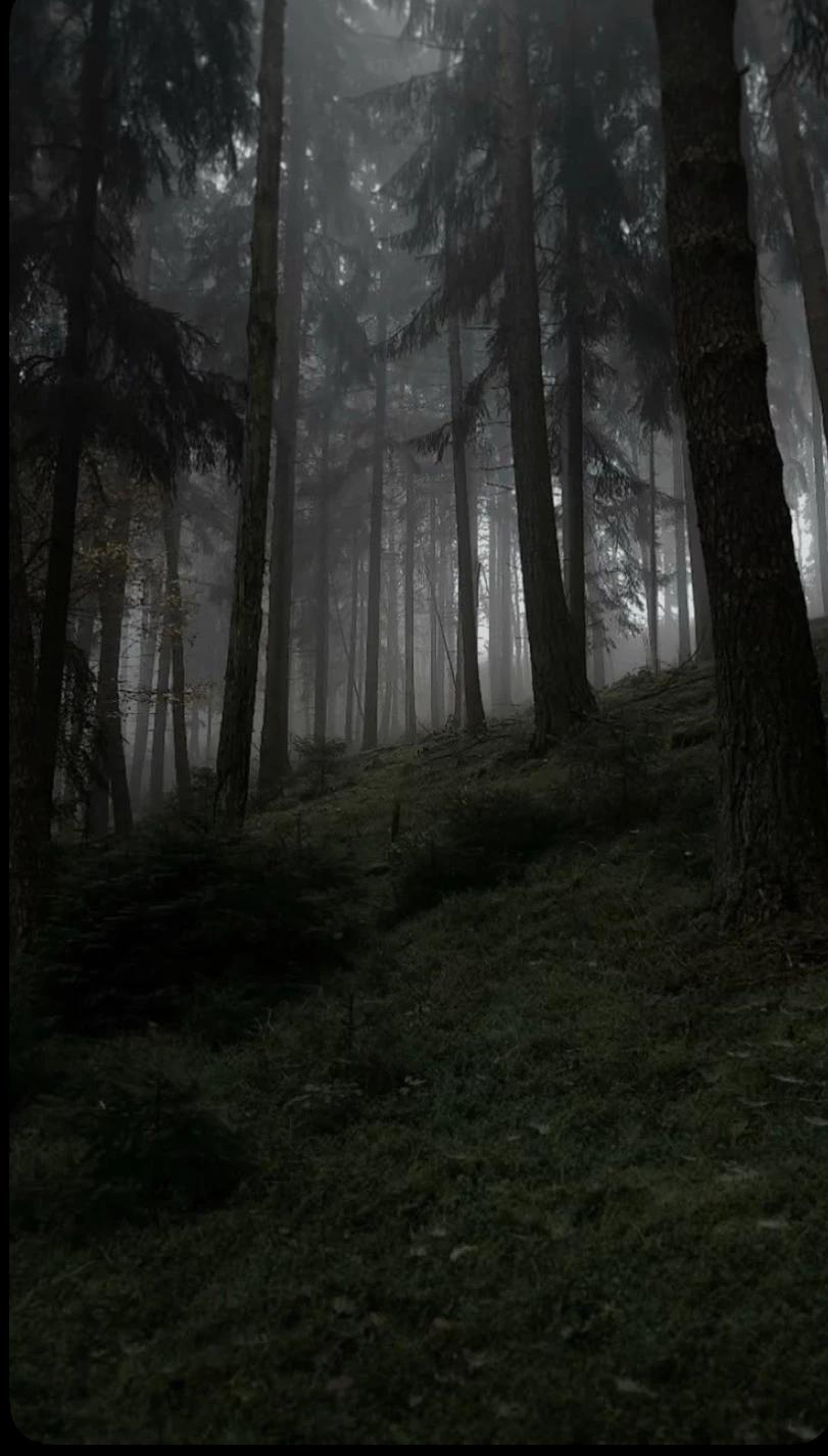 twilight thumbnail