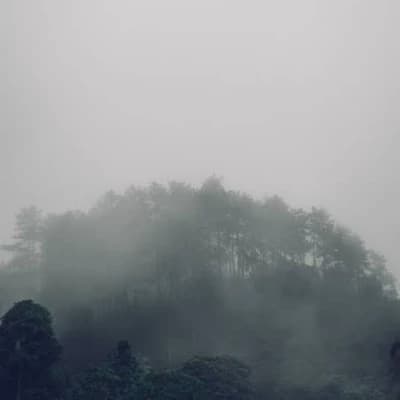 A supernatural world thumbnail